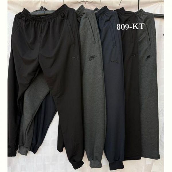 Штаны спорт Shon 809KT grey (56-64)
