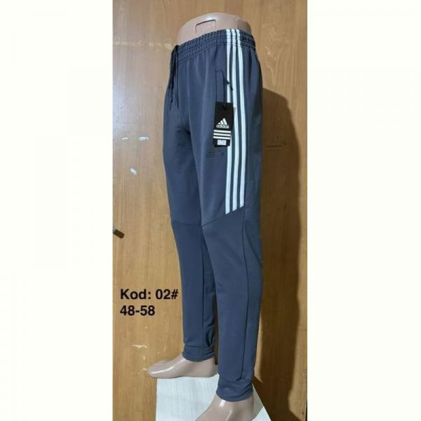 Штаны спорт Ayden 02  grey