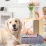 Покрывало на кровать Silhouette 220x240 IDEIA двухстороннее прочная стежка ткани антиаллергенное серое
