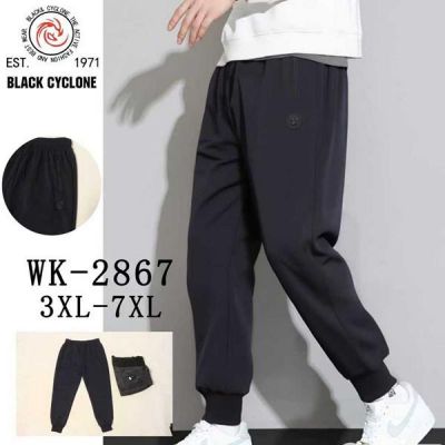 Штаны спорт Giang 2867 d.grey