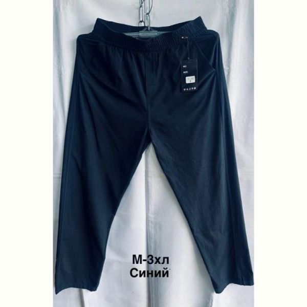 Штаны спорт Minh 3007 navy