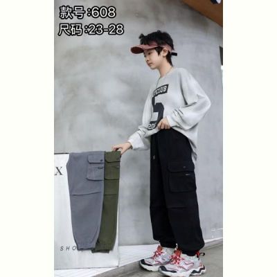 Штаны Farbique 608 grey