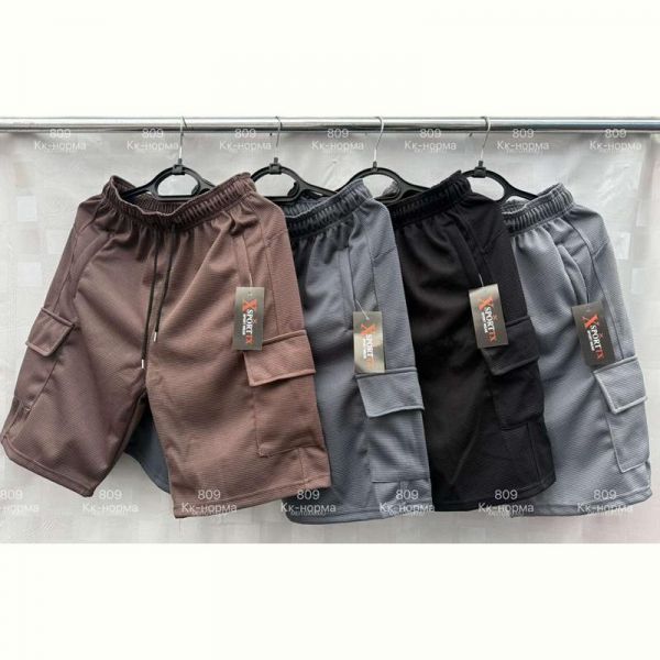 Шорты Shon S3077 l.grey