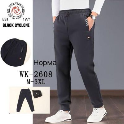 Штаны спорт Giang G74-2608 grey
