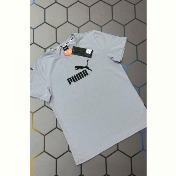 Футболка Alex Clothes 13082 grey