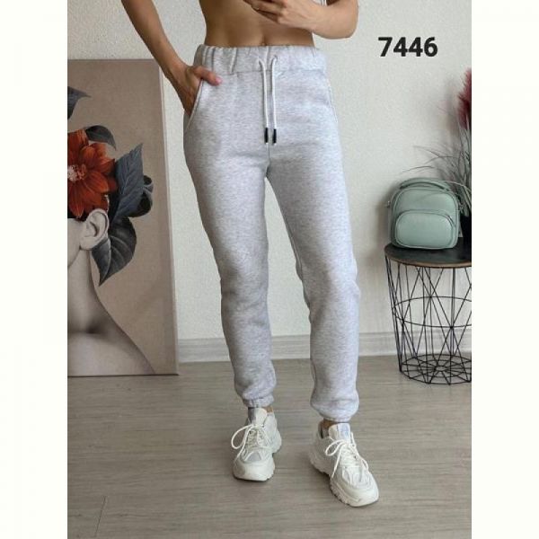 Штаны спорт FSN 7446 grey