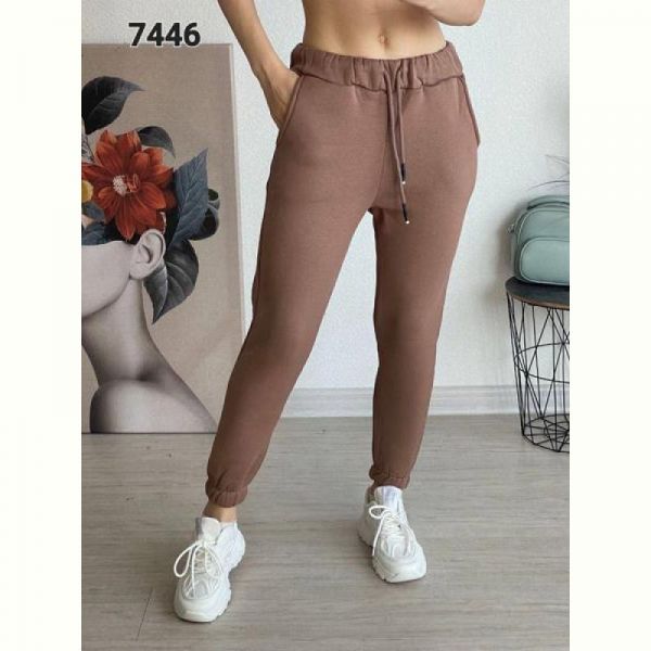 Штаны спорт FSN 7446 brown