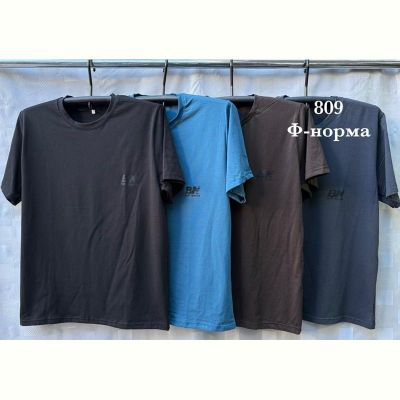 Футболка Shon S2690 brown