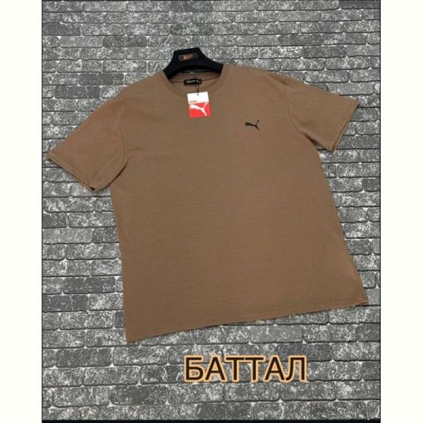 Футболка F.T.H F1140 camel