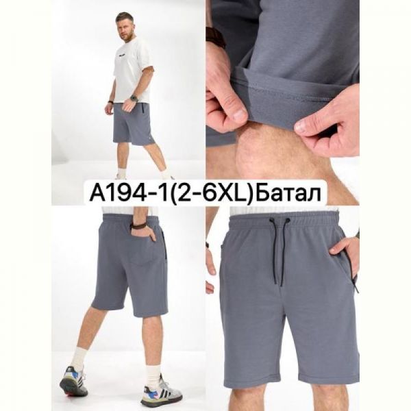 Шорты LiOpt A194-1 grey