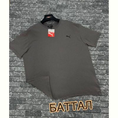 Футболка F.T.H F1139 grey